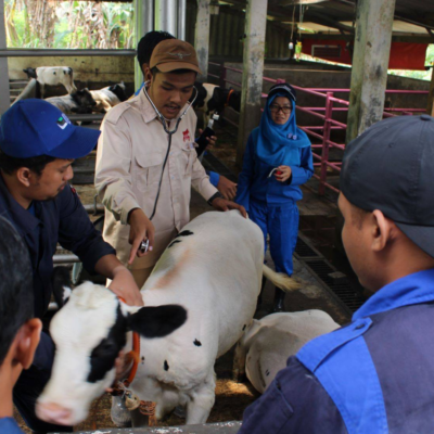 Cloud, Server, PC and Mobile Systems for BLE or RFID in Breeding Management