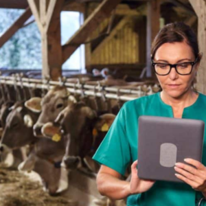 Cloud, Server, PC and Mobile Systems for BLE or RFID in Individual Animal Identification