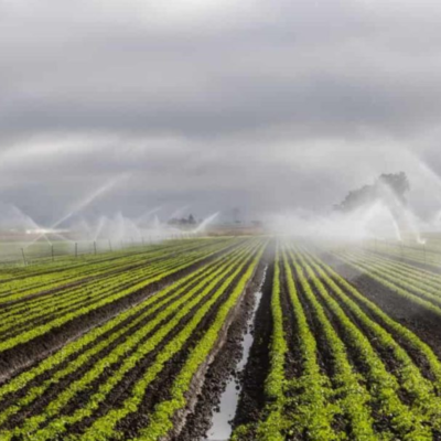 Cloud, Server, PC and Mobile Systems for BLE or RFID  in Irrigation Management