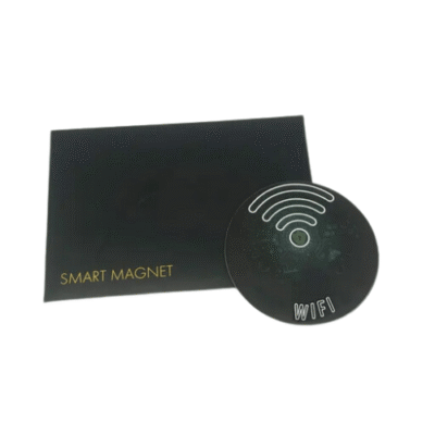 Customized Dual Frequency RFID Key Fob Tag, 13.56 MHz – The Inventory Master