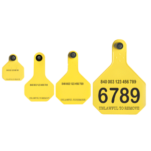 Long-Range RFID Animal Tag for Livestock and Pets Identification – The Inventory Master