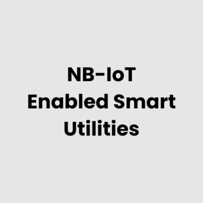 NB-IoT Enabled Smart Utilities
