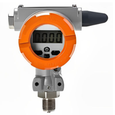 LoRaWAN Explosion Proof Digital Pressure Gauge with Bluetooth – The Inventory Master