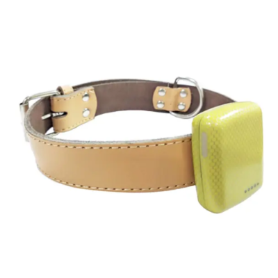 Mini Waterproof GPS Tracker for Pets with Geofence – The Inventory Master