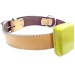 Mini GPS Tracker for Pets with Waterproof and Geofence Feature – The Inventory Master